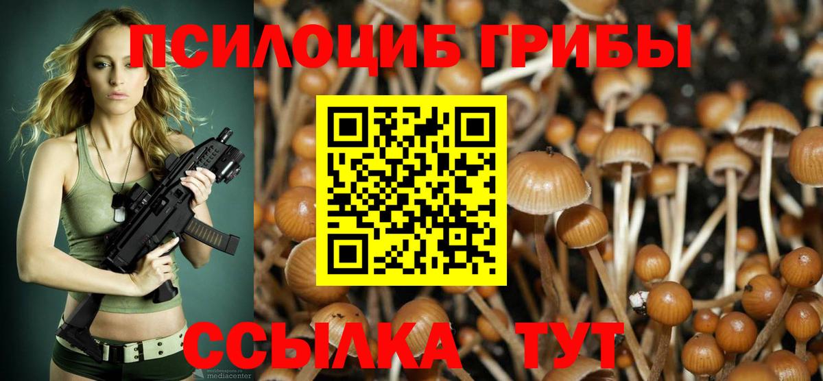 Железногорск  Псилоцибиновые грибы MAGIC MUSHROOMS  Вход с VPN  Галлюциногенные грибы мухоморы 